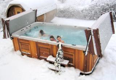 Arctic Swim Spa
